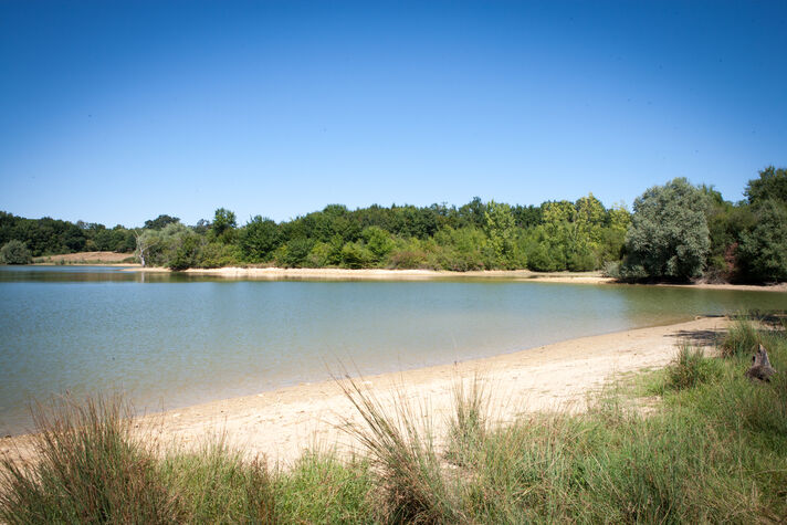 2014--LAGR--Etang-Lagrange--OT-Landes-d-Armagnac---YM--2-.jpg