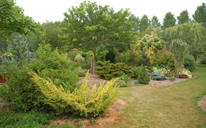 DSC_0025.JPG