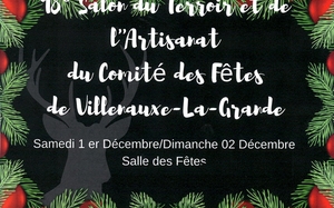 01-02.12 villenauxe.jpg