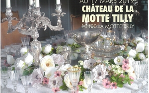 20.10.18-17.03.19 expo château motte tilly.jpg