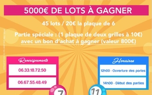 17.02.19 loto romilly.JPG