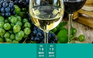 18.19.05 salon des vins.JPG