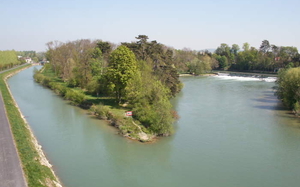ile olive.JPG