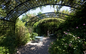 Photo_1.jpg