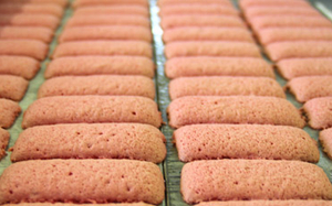 Photo_1.jpg
