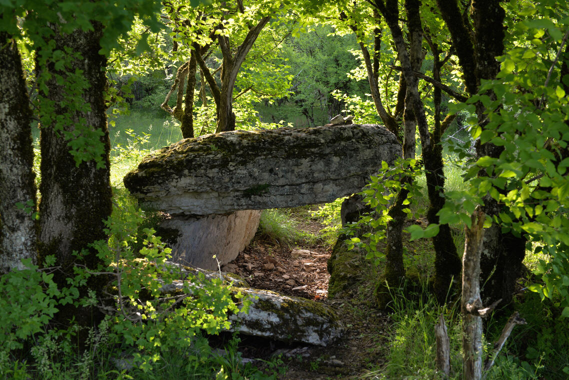 Dolmen de Pech Lapeyre