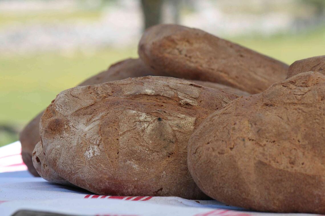 Fete du pain-miches cuites