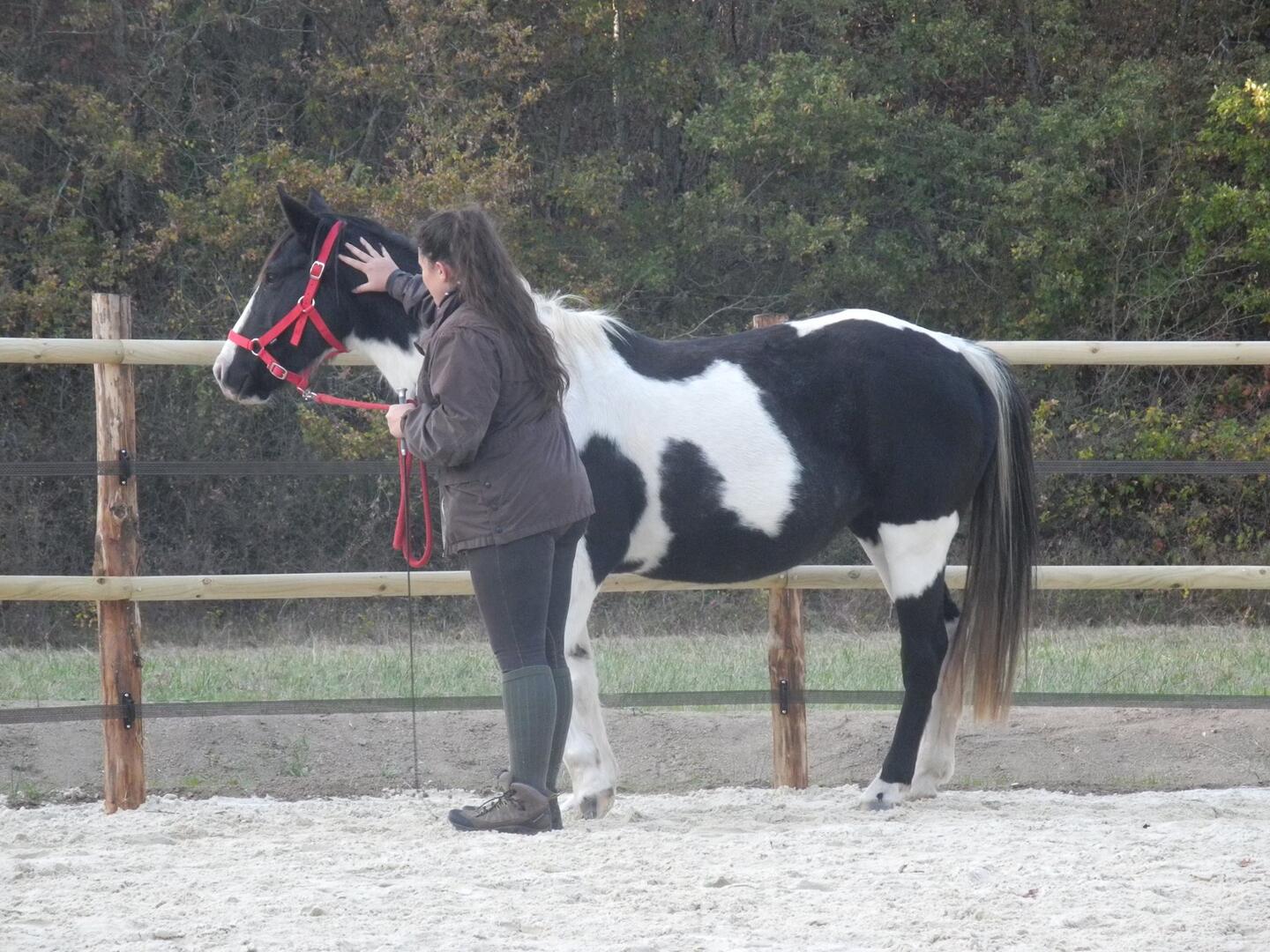 Balade_poney_ferme_Grillaults_La_Roche_Posay (8).jpg