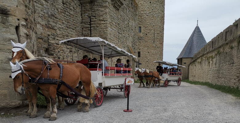 CALECHE©lkaOMTCarcassonne.jpg
