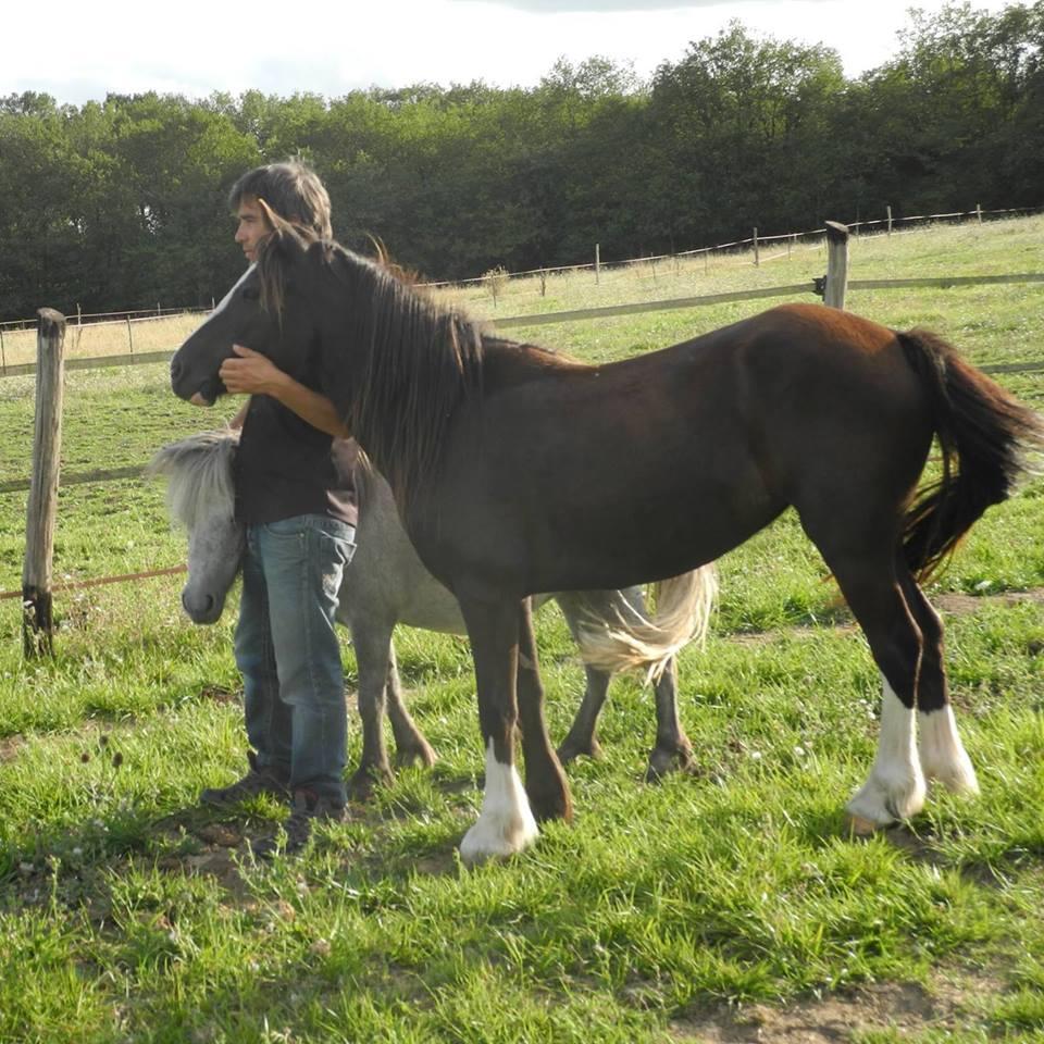 Balade_poney_ferme_Grillaults_La_Roche_Posay (3).jpg