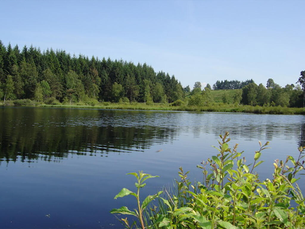 Circuit du lac de Faux.jpg