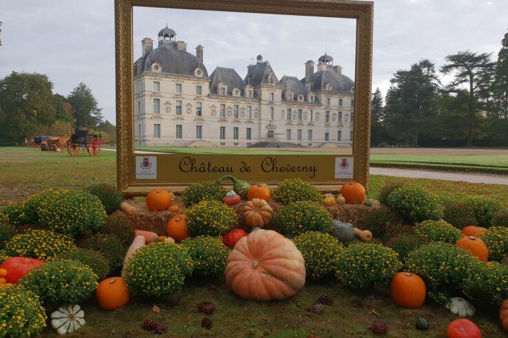 494485-le-jardin-de-l-automne-du-chateau-de-cheverny.jpg