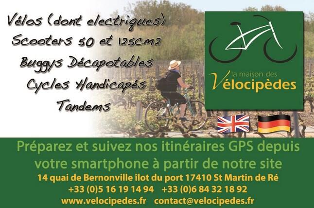 velocipedes (2).jpg