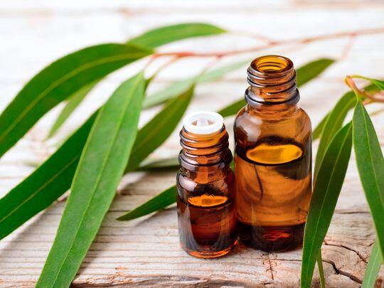 huile-essentielle-eucalyptus.jpg