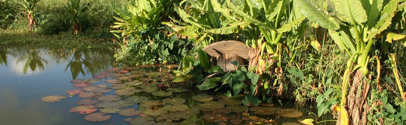 Marronnages-à-l’Etang- (1).jpg