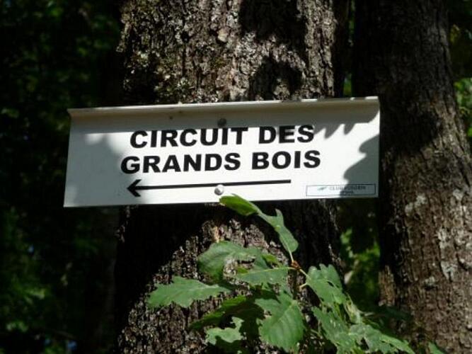 circuit_des_grands_bois.jpg