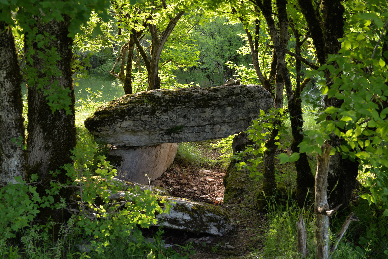 dolmen Joncas2.jpg