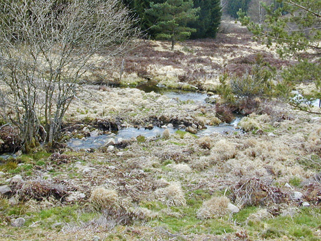 Circuit des éoliennes.jpg