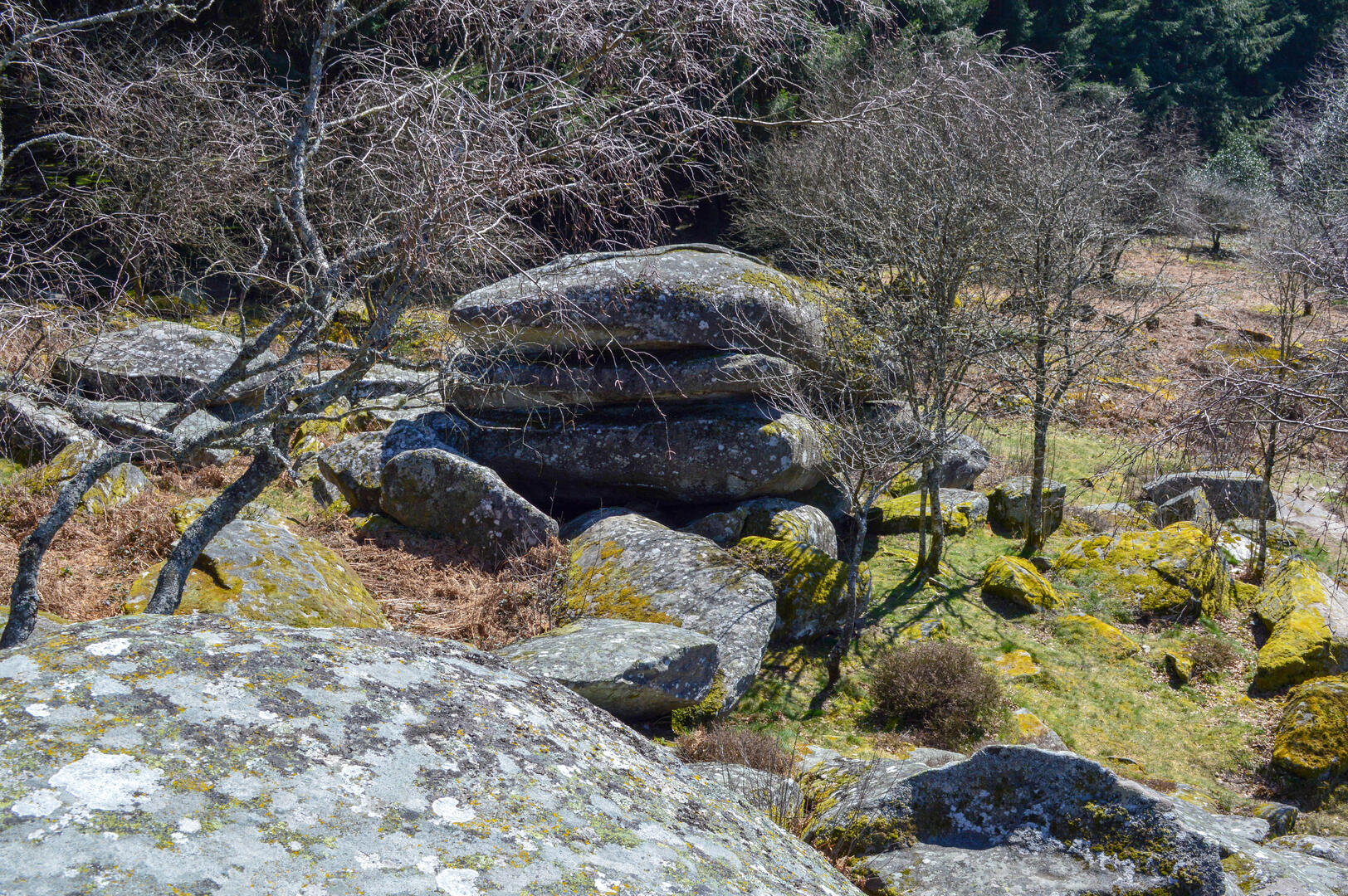 DSC_0335.JPG