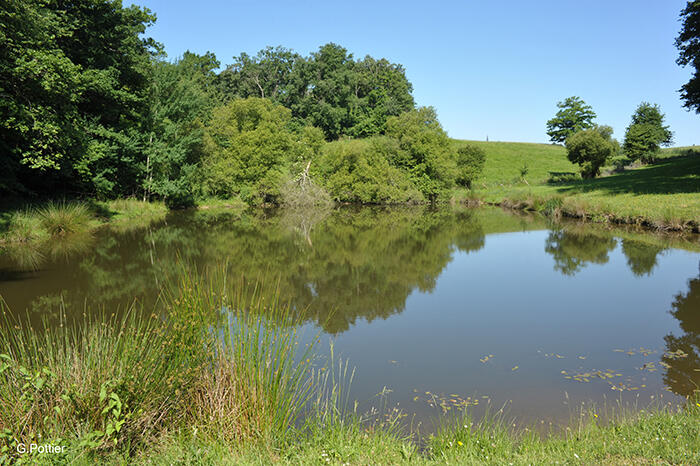 biodiversité de l'Adour © Maison de leau.jpg