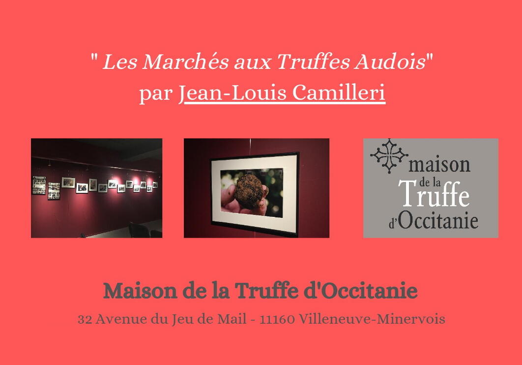 expo maison de la truffe.jpg