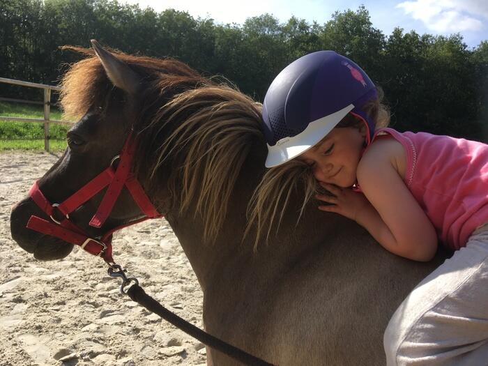 Fete_cheval_au_naturel_Ferme_equestre_naturelle_Les_Grillaults_La_Roche_Posay.jpg