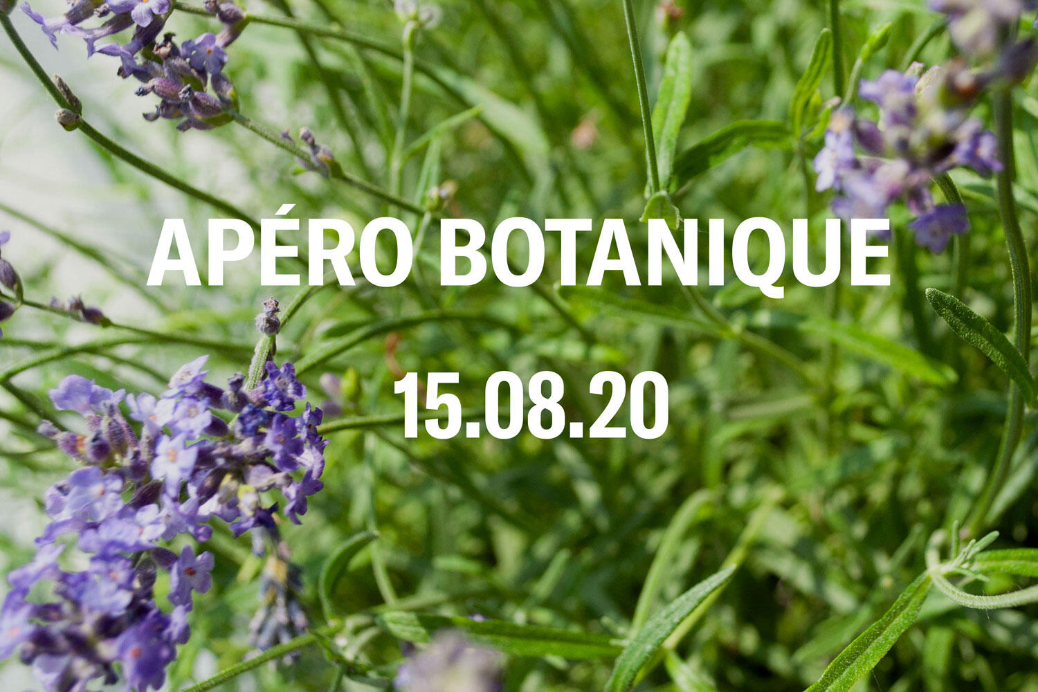 apéro-botanique-2020.jpg