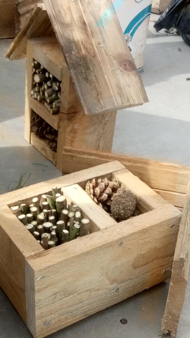 abri à insecte.JPG