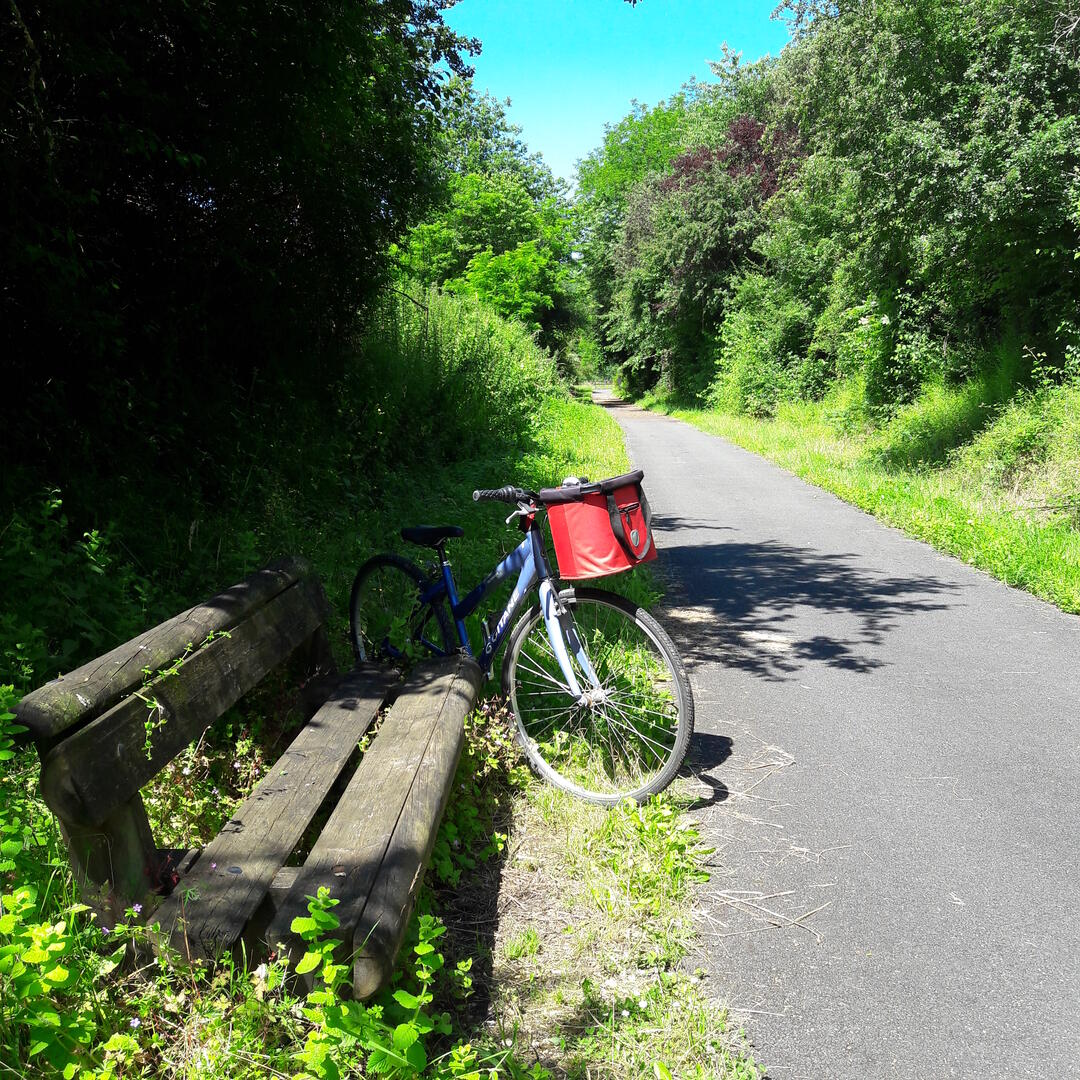 20160621_115159.jpg