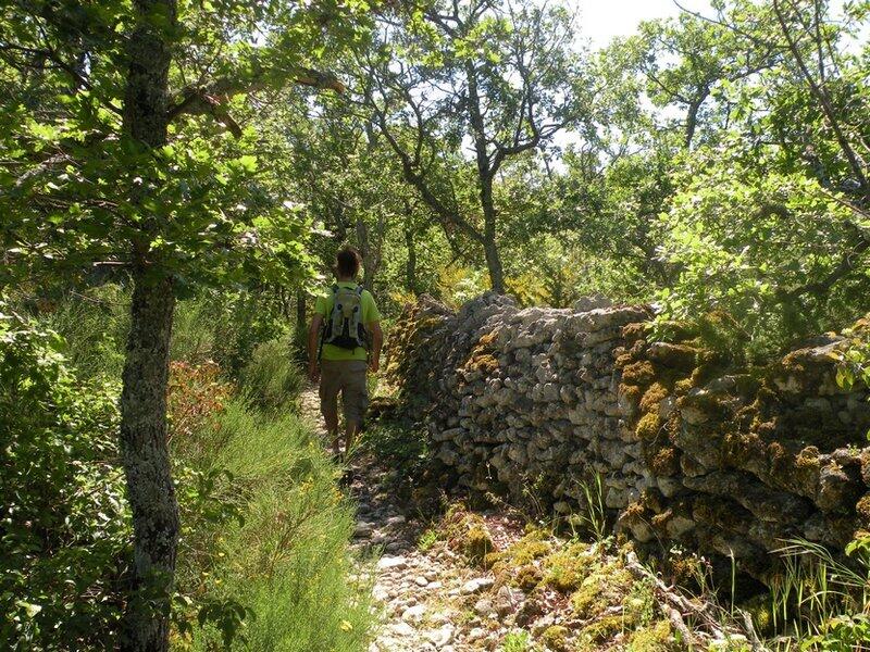 Chemin de la gardette.jpg