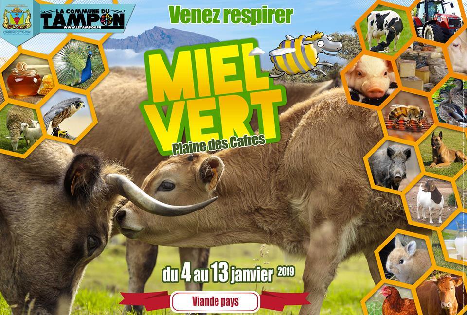 miel vert 2019.jpg