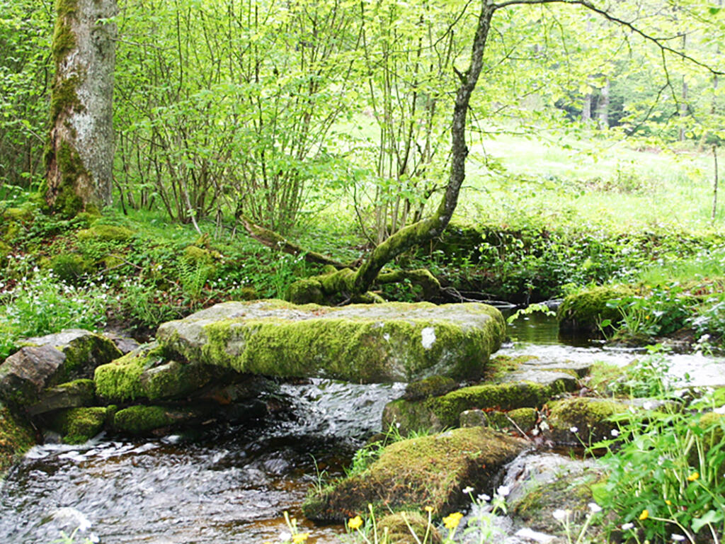 Le chemin de l’eau.jpg