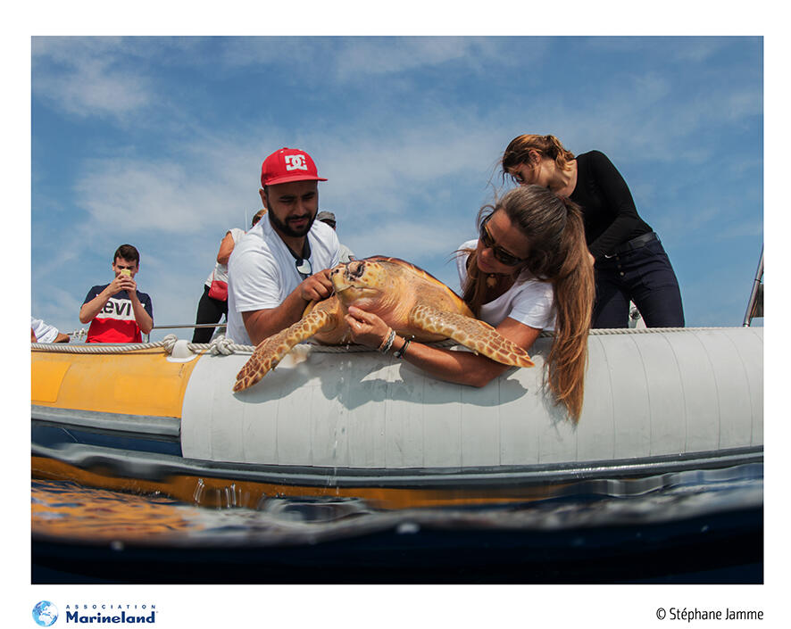 Association_Marineland©Stéphane_Jamme.jpg