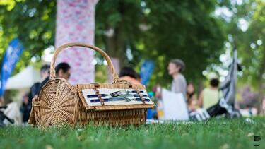 PIC NIC © frederic lopez.jpg