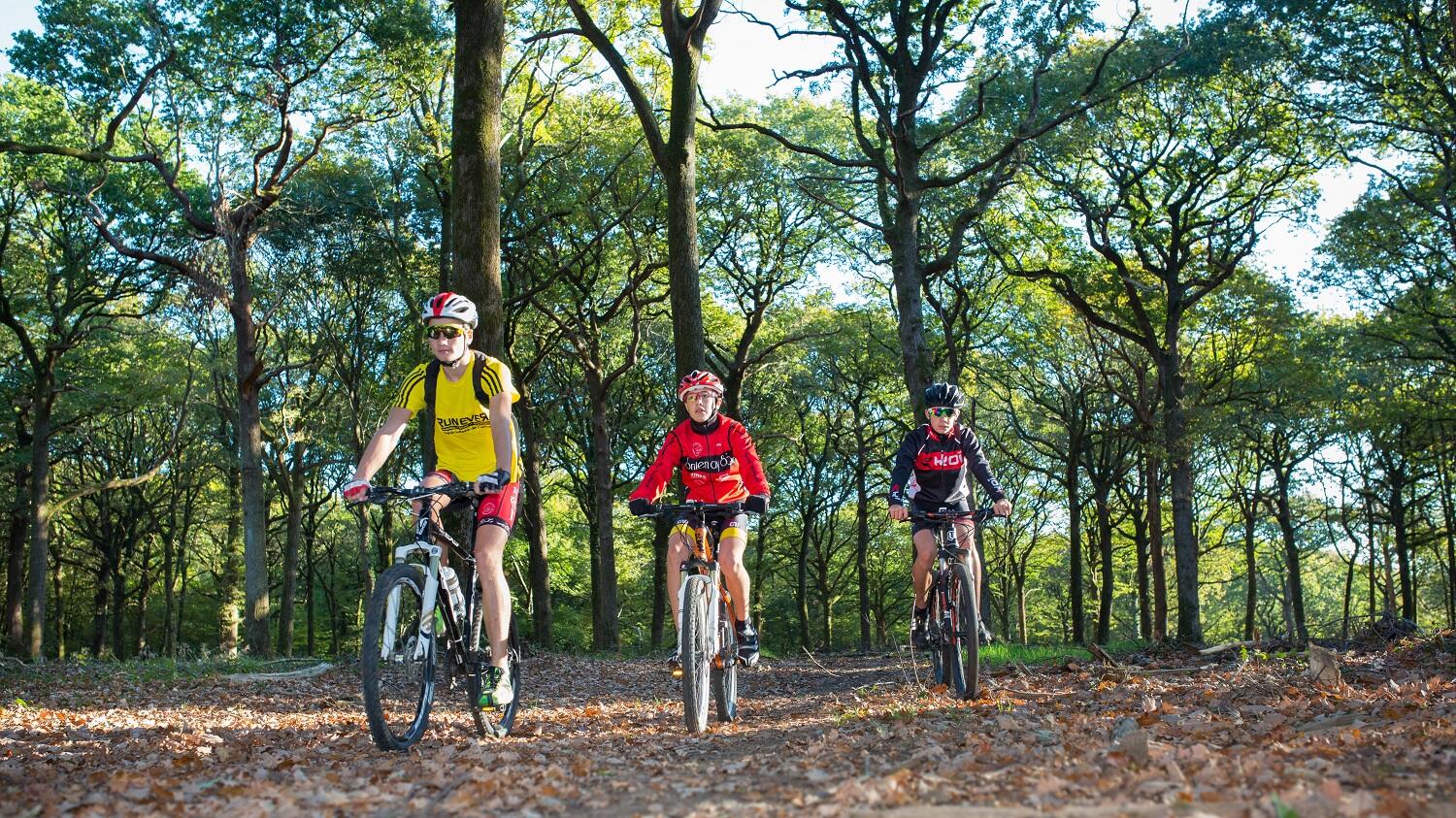 VTT - forêt de Mervent-Vouvant - 3.jpg