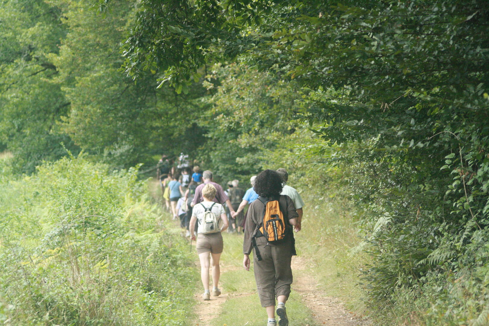 Rando à la noix du mercredi 12 aout_35.jpg