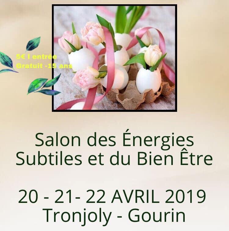 Salon_Energies_Gourin_Avril2019.jpg