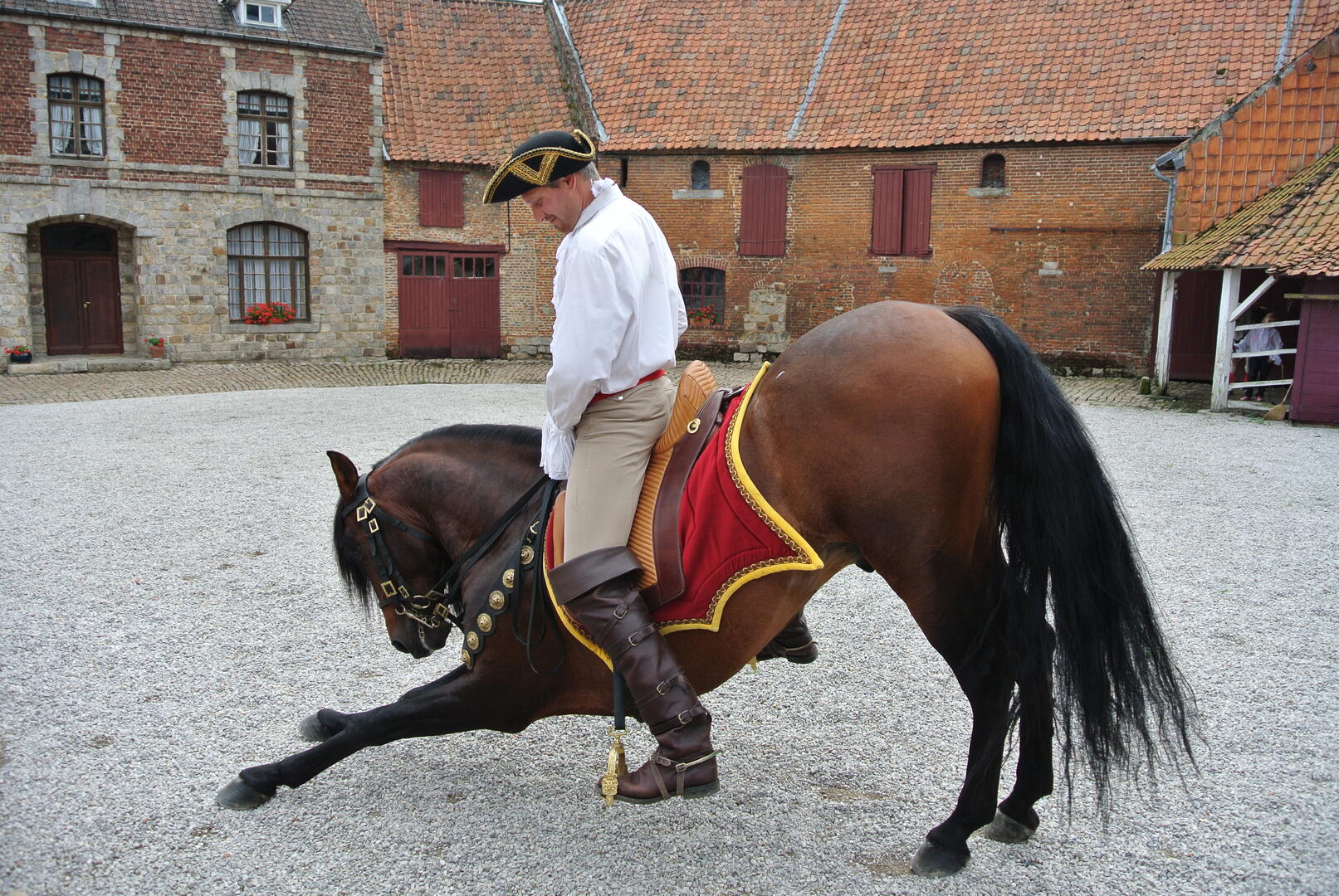 D'Artagnan2 - Copyright office tourisme Bethune Bruay .JPG