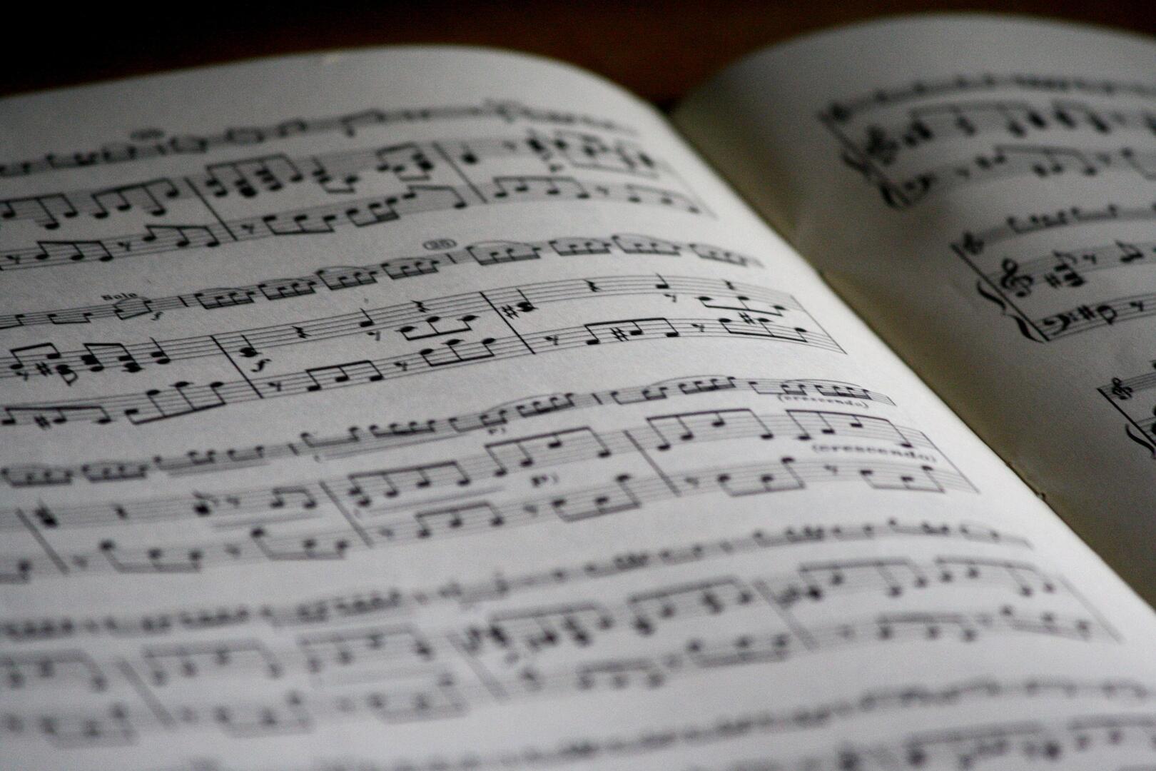 Concert_La_Roche_Posay ©Pixabay (3).jpg
