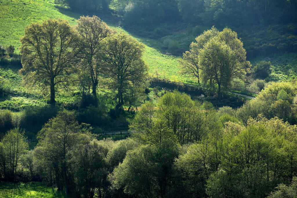 ADRT-23-Bourganeuf-et-sa-region-JDA_5064.JPG-1024px.JPG