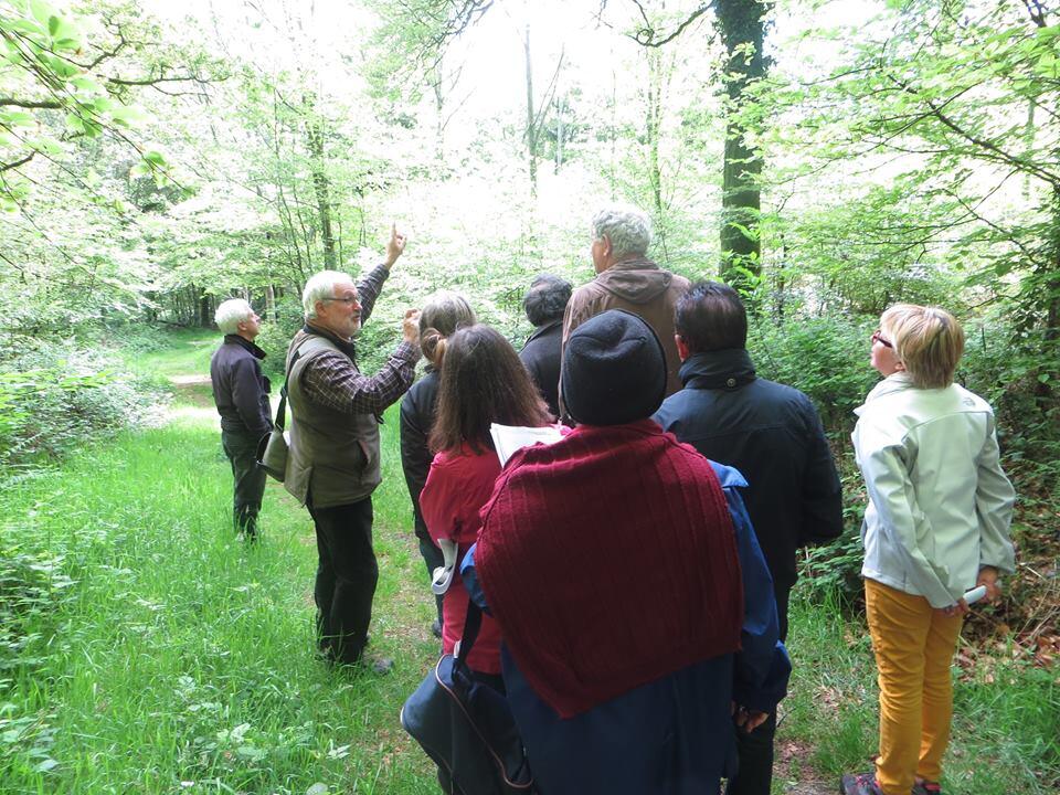 Sortie_Nature_Initiation_Chants_Oiseaux_Maison_ChauveSouris_Kernascleden_LeFaouet_Mars2018.jpg