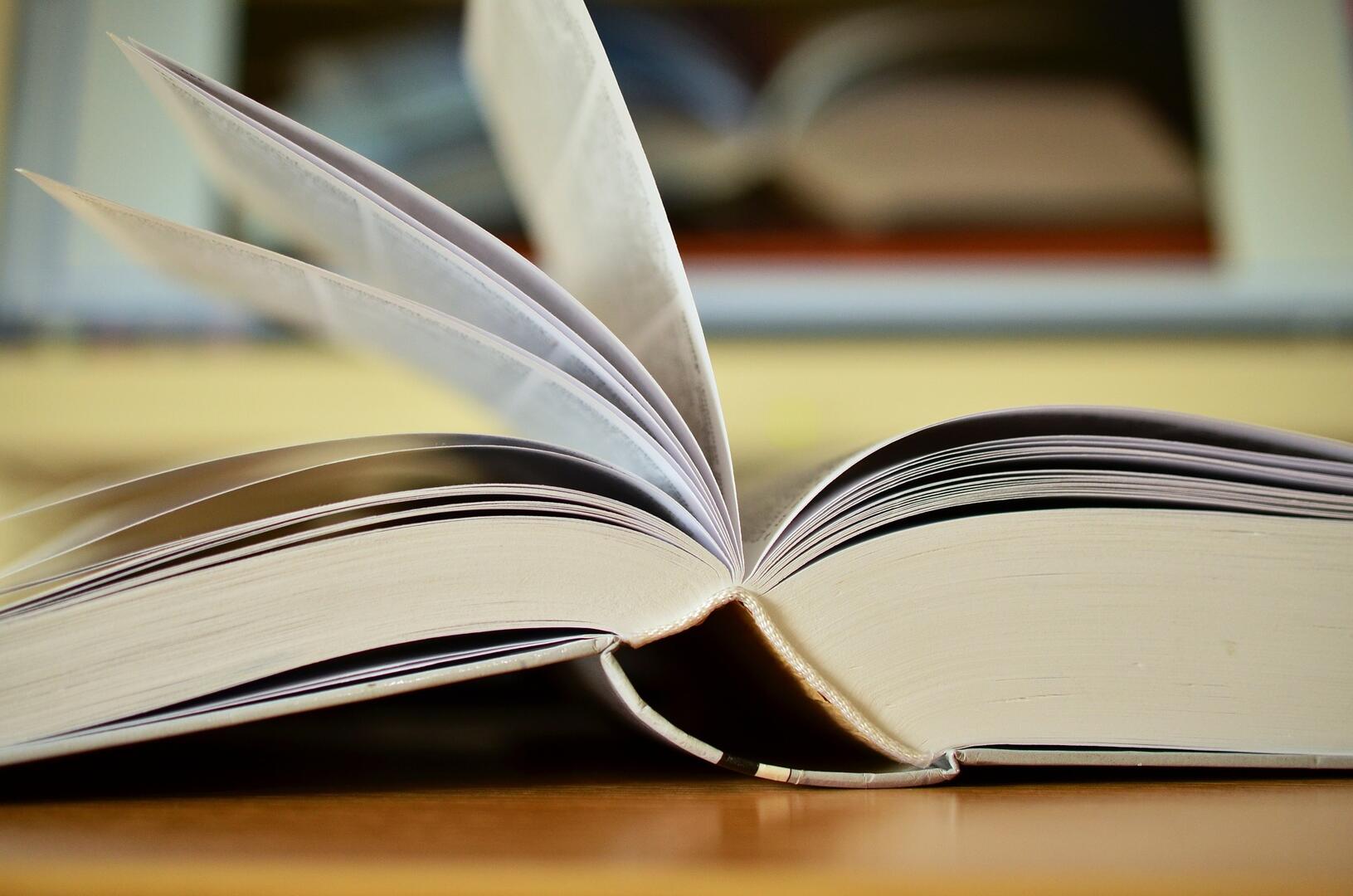 livre 2.jpg