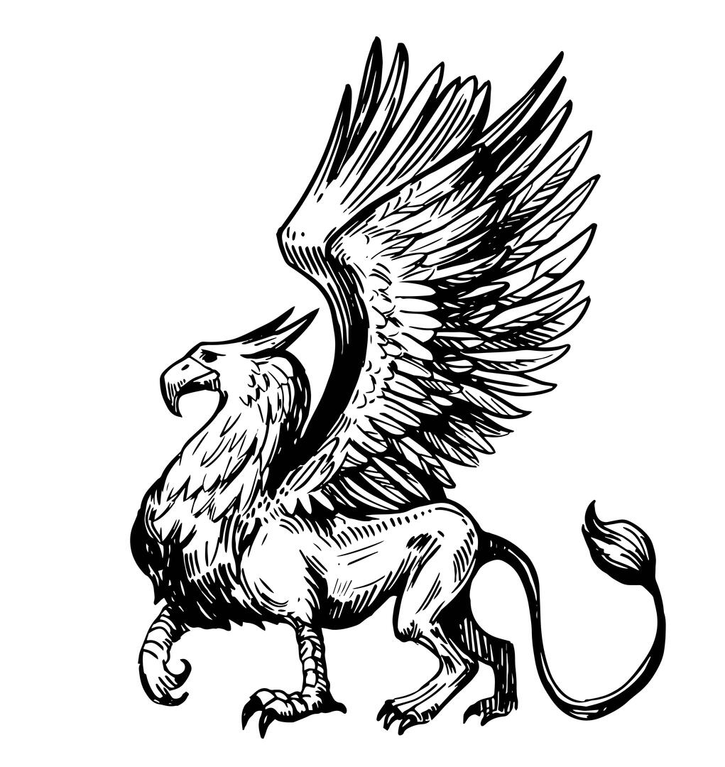 27.08.20 méganimal.jpg