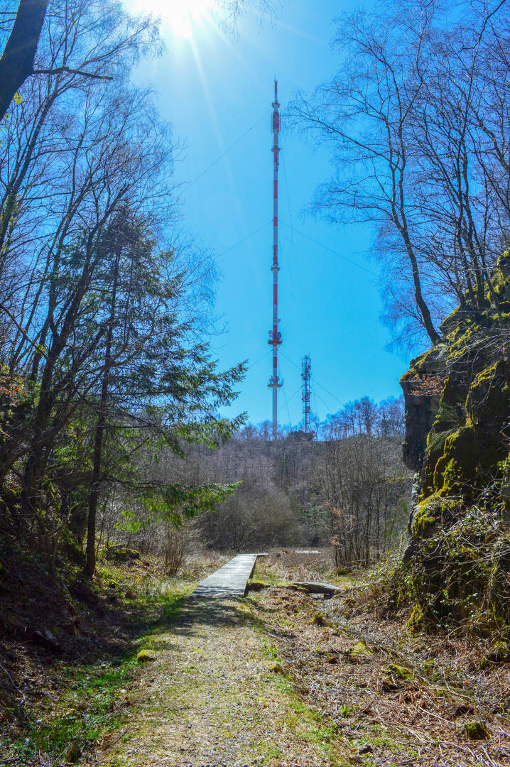 DSC_0217.JPG