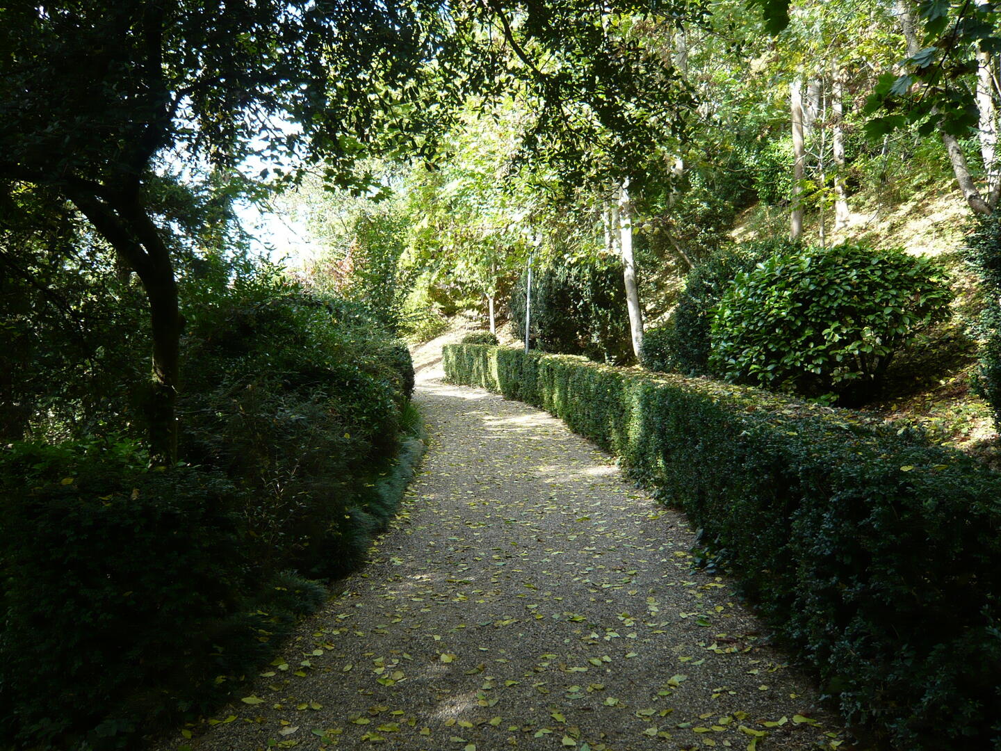07.07.20 21.07.20 30.07.20 Les habitants du jardin des plantes.jpg