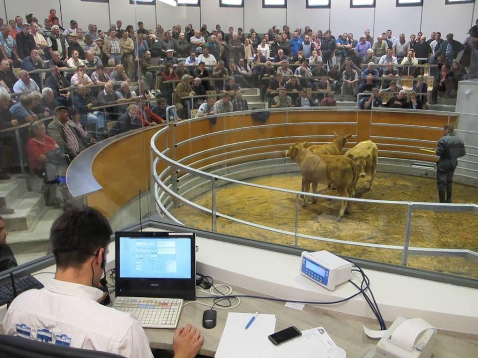 Marche aux cadrans les Herolles.jpg