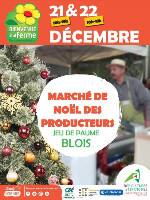 Sans titre.jpg