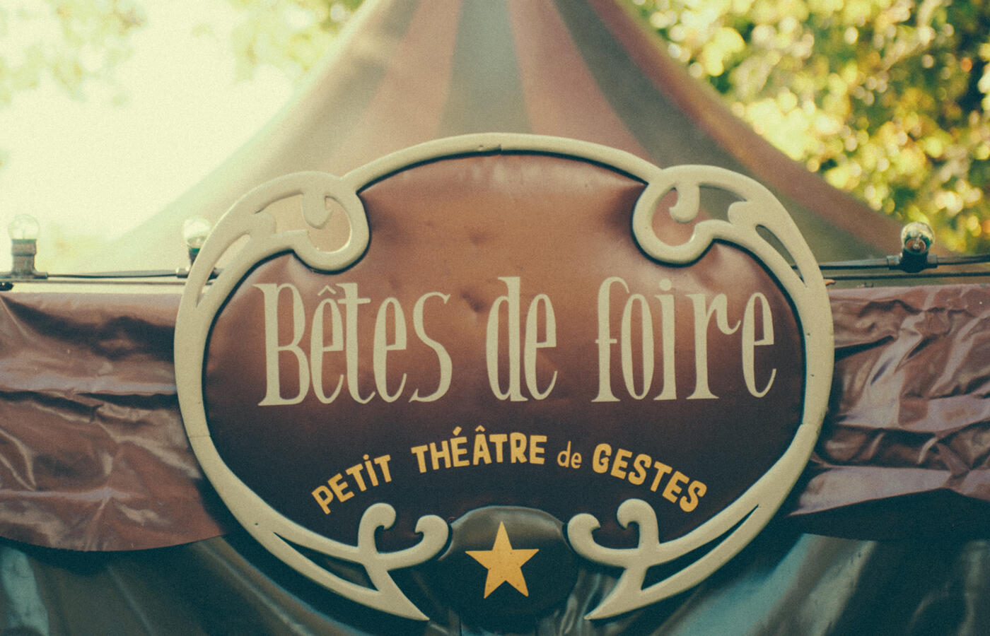BÊTES DE FOIRE - PETIT THÉÂTRE DE GESTES // © LIONEL PESQUÉ.jpg