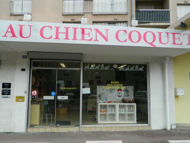au chien coquet.JPG