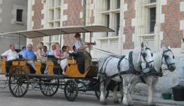 Promenade en Attelages devant le château Royal de Blois dans le Val de Loire